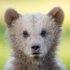 5c8b108a2400006c05a4019c