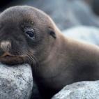 5c8b108b3b000070066ce399