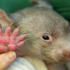 5c8b108c2400006b054cc56a