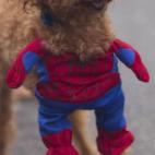 5c8b108c2300002f00e77dd5