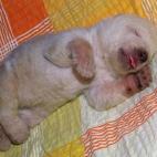 5c8b108d2500000704c9f652