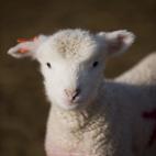 5c8b108e2400006d054cc56f