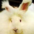 5c8b108e22000031001a329f