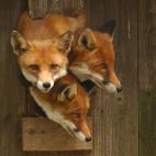 5c8b108f3b000072066ce3a9