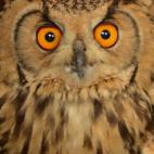 5c8b109024000093024cc573