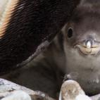 5c8b10913b000070066ce3ad