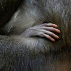 5c8b10912000004504701020