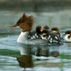 5c8b10922400006c05a401a8