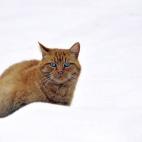 5c8b10922300005300e77ddf