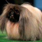 5c8b10932400006c05a401ab