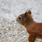 5c8b10932000009e04701022