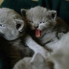 5c8b10933b000054066ce3b1