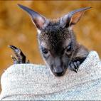 5c8b10943b000054066ce3b3