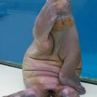 5c8b10942300005400e77de1