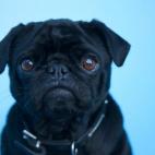 5c8b109422000031001a32b5