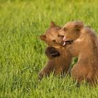 5c8b1095360000a61b6c61fe