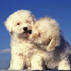 5c8b10952300000401240649