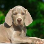 5c8b1095230000dd0424064b