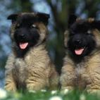 5c8b1096240000f7054cc57b