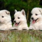 5c8b10963b000002076ce3b7