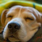 5c8b109722000033001a32b9