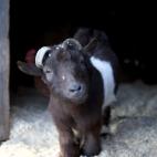 5c8b1098360000e01c6c6200