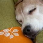 5c8b1099230000dd04240651