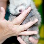 5c8b10992400006d054cc57f