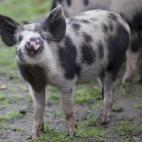 5c8b109a2000009d0370102a