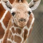 5c8b109b360000ba1a6c6202