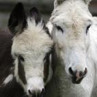 5c8b109c2300005300e77de7