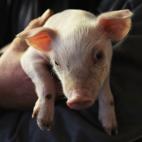 5c8b109c3b000054066ce3bb