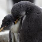 5c8b109d22000030001a32bb