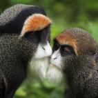 5c8b109d3b000072066ce3bd