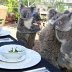 5c8b109e2400000a05a401bc