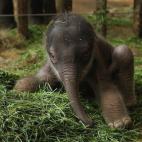 5c8b109e360000ba1a6c6206