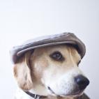 5c8b109e360000a61b6c6208