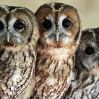 5c8b109e2500000d04c9f66e