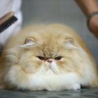 5c8b109f2400006b054cc589