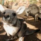 5c8b109f2500000d04c9f670