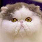 5c8b10a02400006c05a401c0