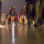 5c8b120e22000033001a35da