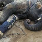 5c8adcc92000009d036fe1a5