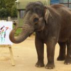 5c8adcca22000030001a02ab