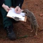 5c8adccb2400000a05a3d270