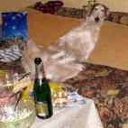 5c8adccc20000045046fe1a9