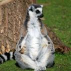 5c8adcce2000009d036fe1ab