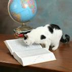 5c8adccf230000dd0423d75b