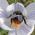 5c8adcd0230000040123d75f