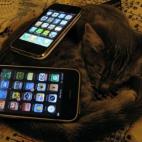 5c8adcd22500001304c9c752